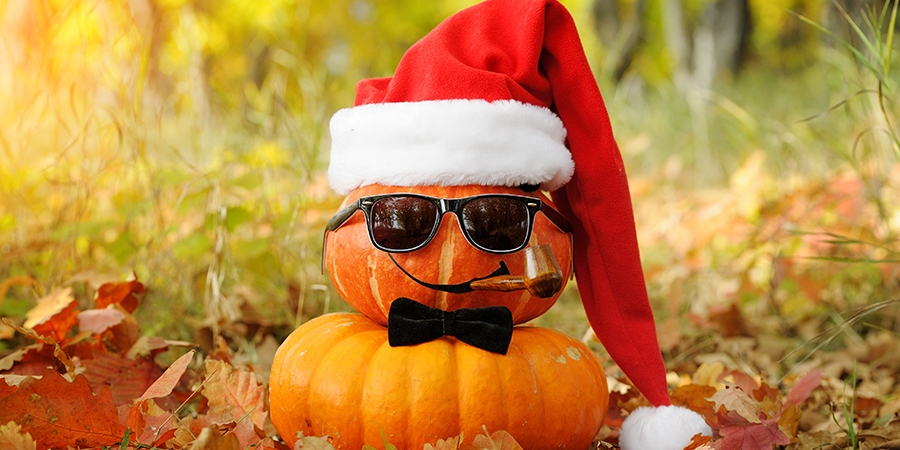 0_Halloween-christmas-decorations-installations-set-up-design-services-company.jpg
