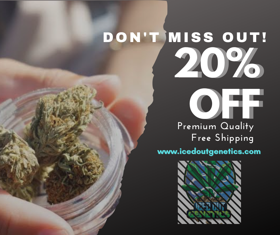 20% off.png