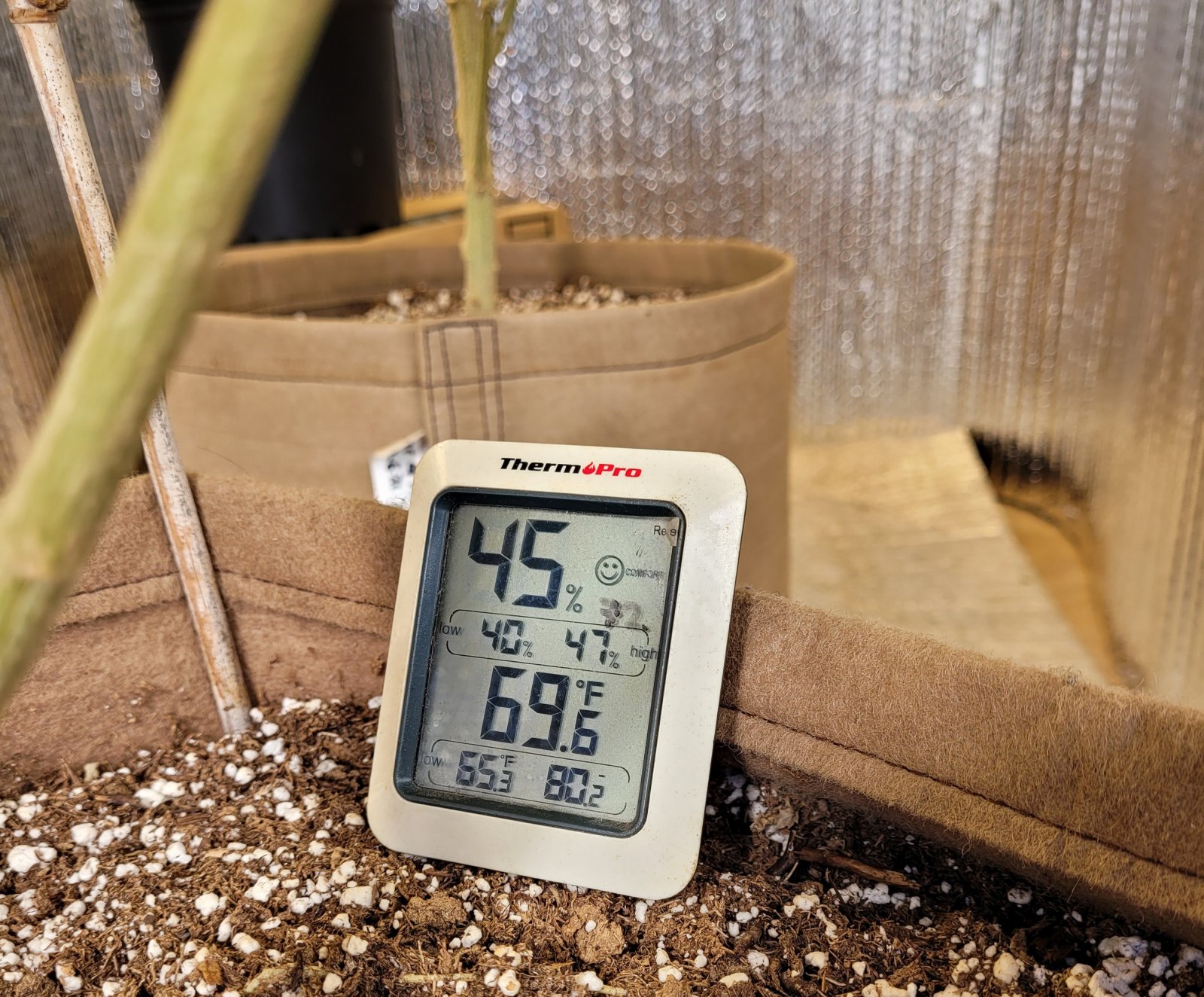 20211128_103438 shed nightime temps.jpg