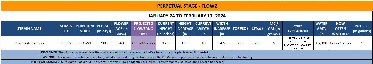 420 Update for Poppy - January 24 to February 17, 2024.jpg