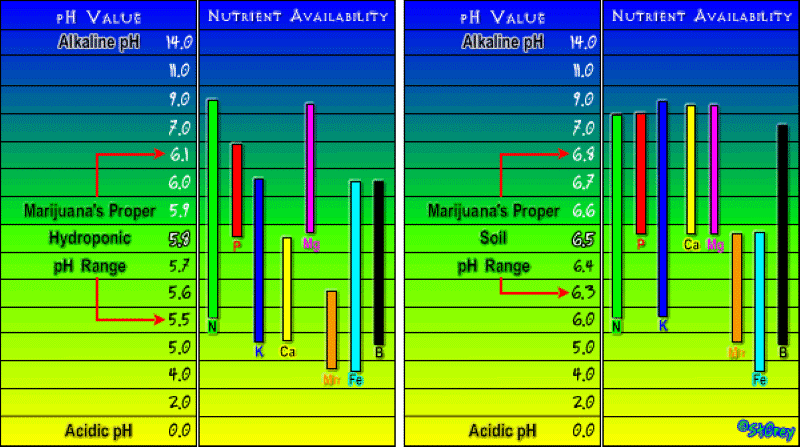 6) Nutrient Chart.gif