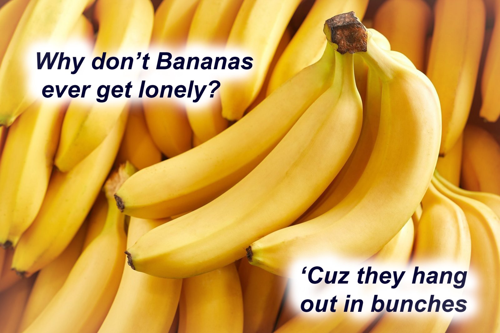 Banana Jokes.jpg