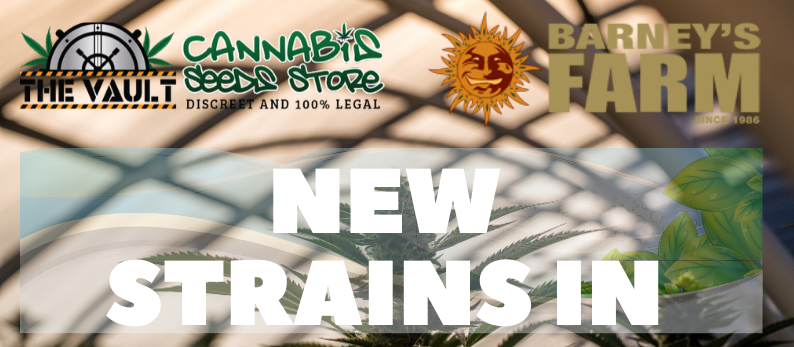 Barneys-Farm-Cannabis-Seed-Freebies.png