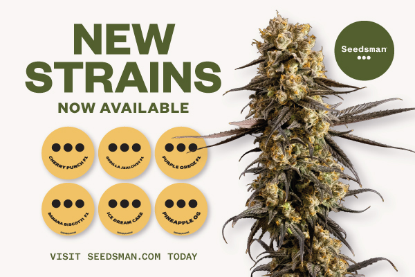 Batch2-strains-now-available_600x400px (1).jpg