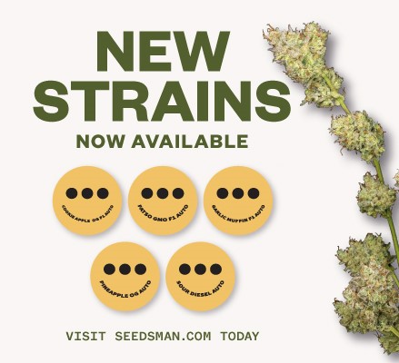 Batch3-strains-now-available_600x400px.jpg