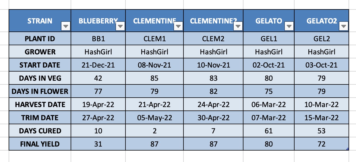 BB, Clem & Gelato Results.jpg