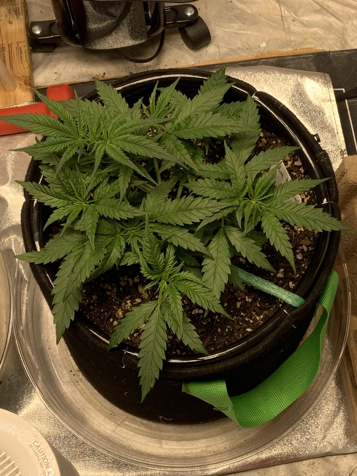 BD#1 after LST day2.jpg