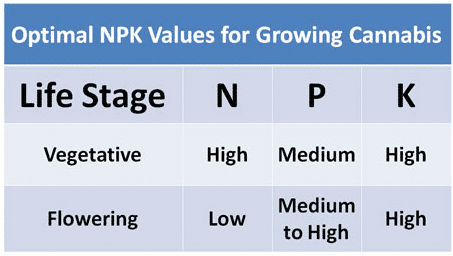 best-npk-ratio-cannabis-nutrients.png