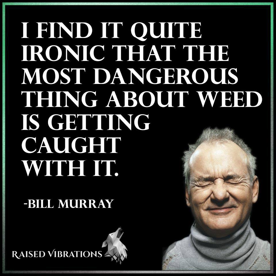 bill-murray-marijuana-quote-weedmemes.jpg