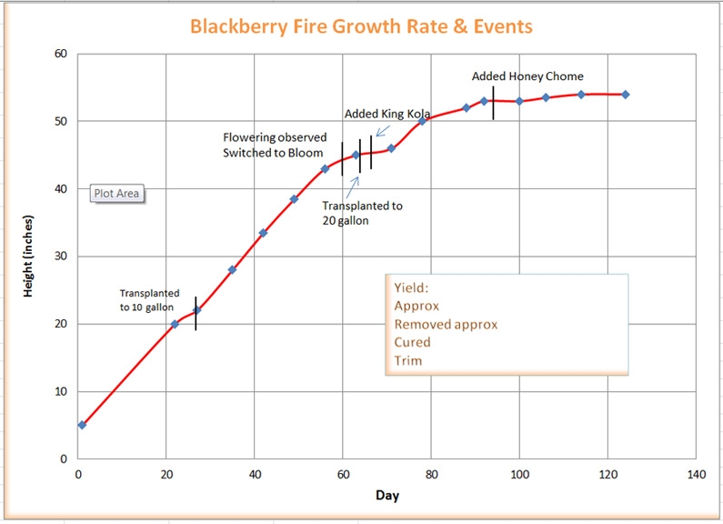 Blackberry Fire Chart.jpg