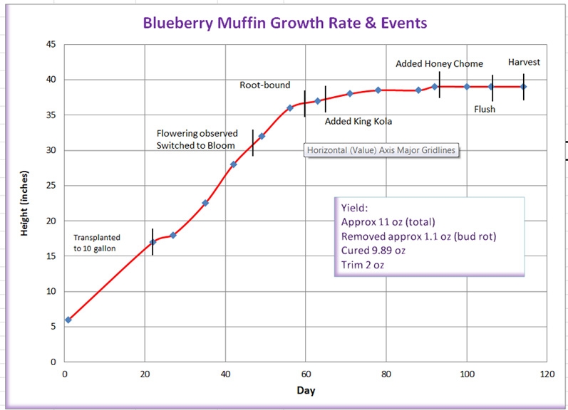 Blueberry Muffin Chart.jpg