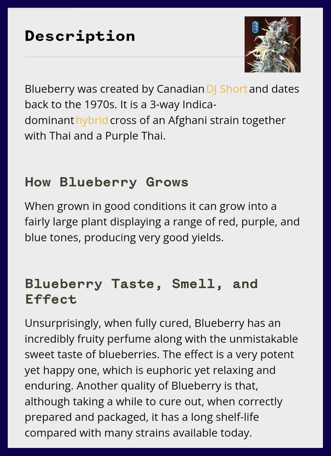 Blueberry Strain Info final.png
