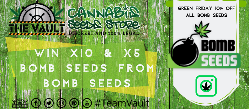 Bomb-Cannabis-Seeds.png