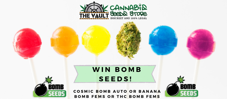 Bomb-Seeds-Promo.png