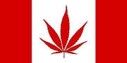Canada weed flag.jpg