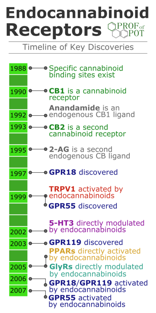 cannabinoid-receptor-discovery-timeline-1-512x1024.png