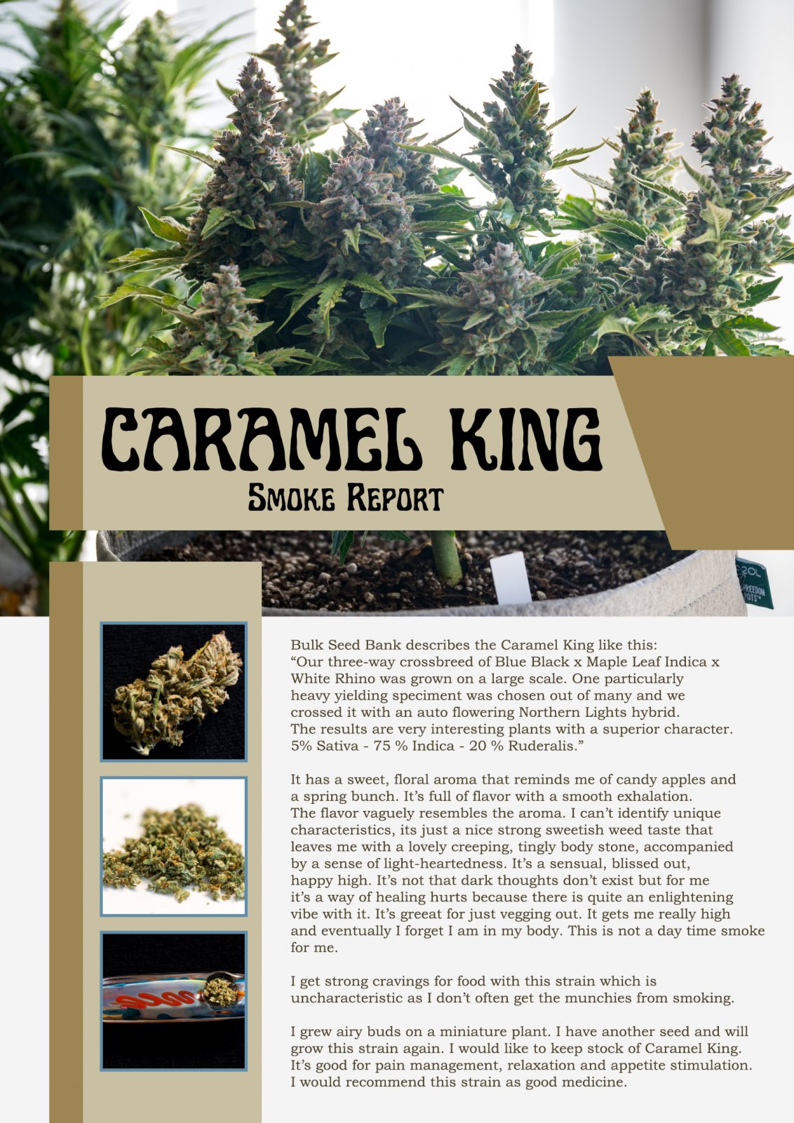 Caramel King Smoke Report copy.jpg