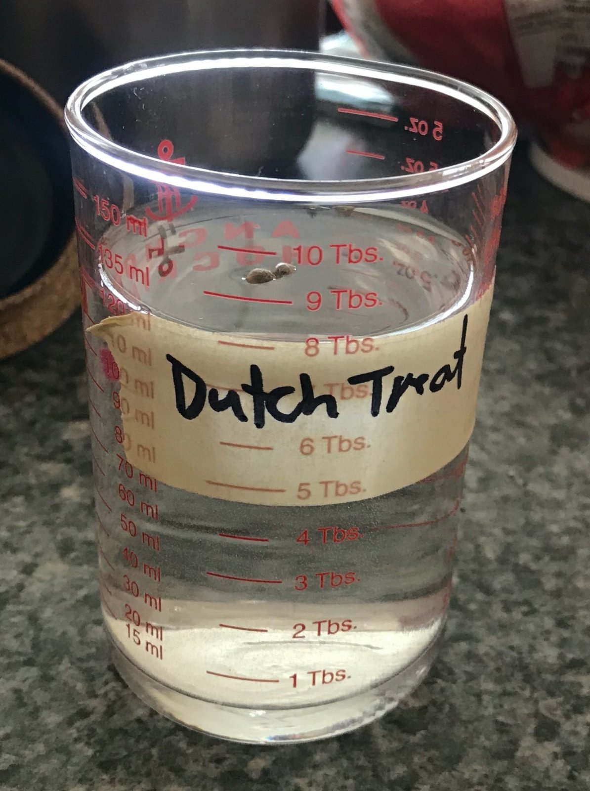 CB Dutch Treat Seed Glass.jpg