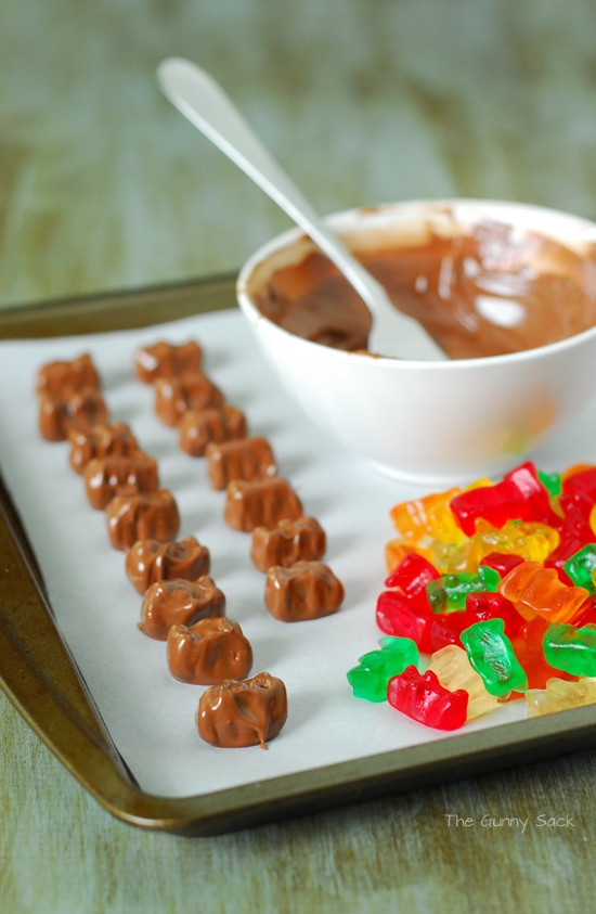 Chocolate_Dipped_Gummy_Bear_Ingredients.jpg