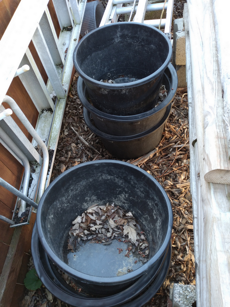 compost-pots.jpg