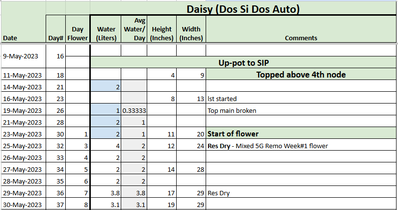 Daisy Feed Tracker 20230530.png