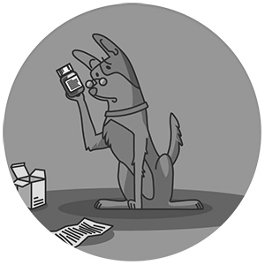 dog-looking-at-a-medication-bottle.jpg