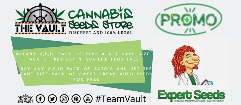 Expert-Cannabis-Seeds.png