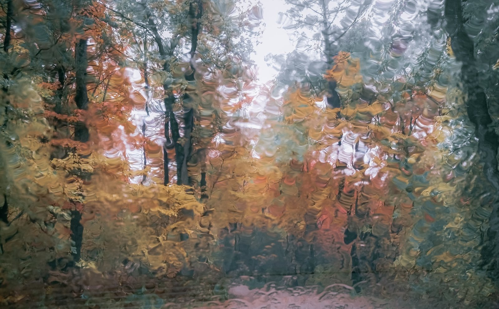 Fall colors and rain windshield.jpg