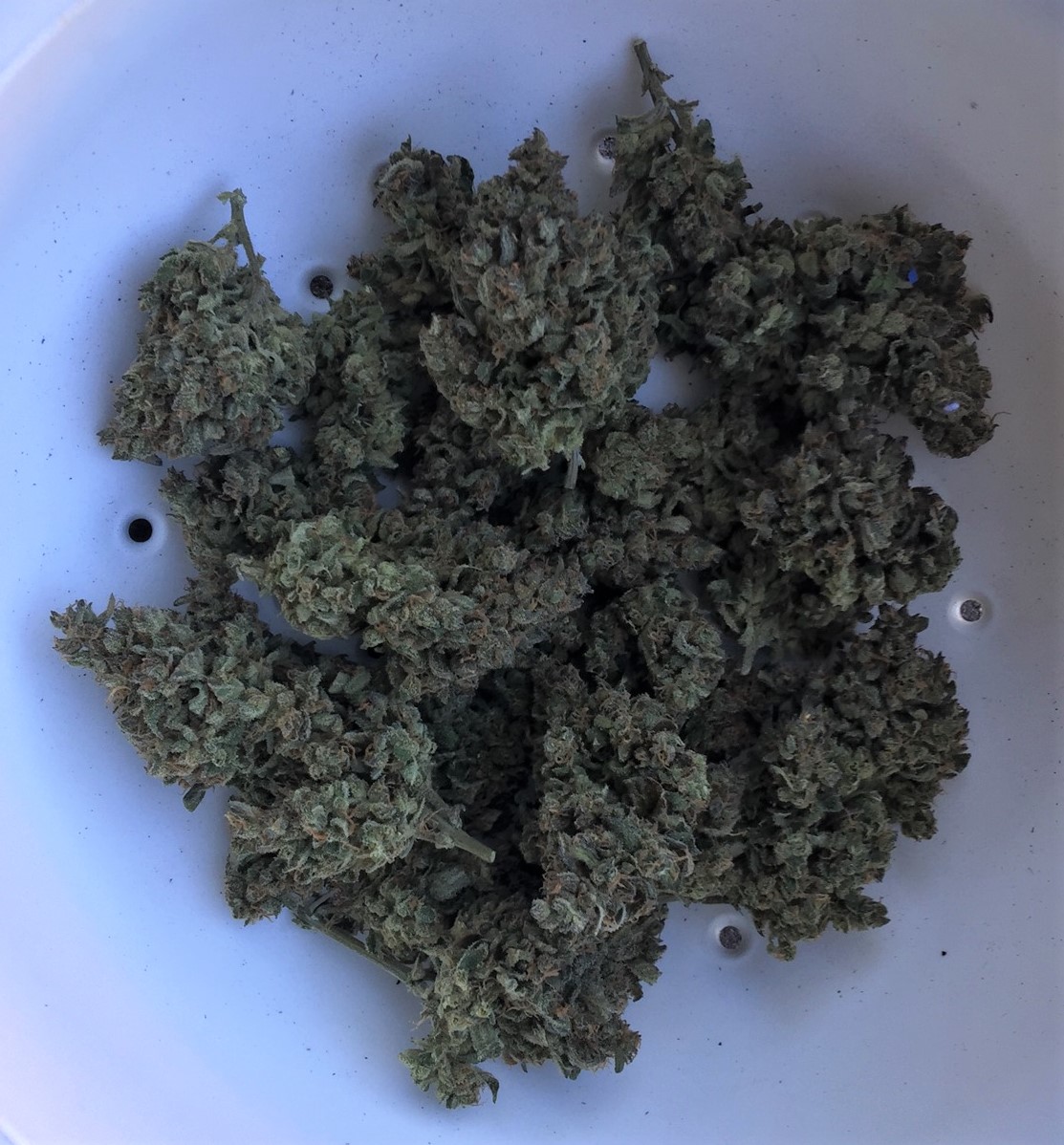 Final trimmed primo buds 1 ounce and 1 eighth Gorilla Zkittlez.jpg