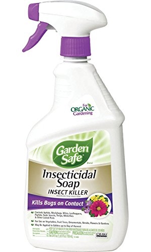 Garden-Safe-Insecticidal-Soap.jpg
