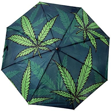 Green Canna Umbrella.jpg