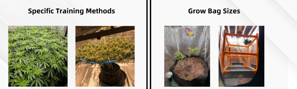 grow_bag_sizes_and_training_methods.png