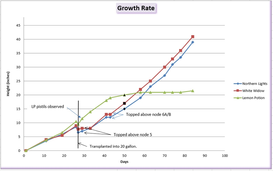 Growth chart 05.jpg