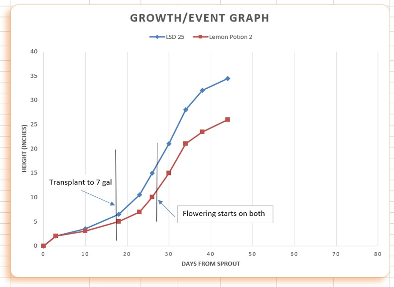 Growth chart 06.jpg