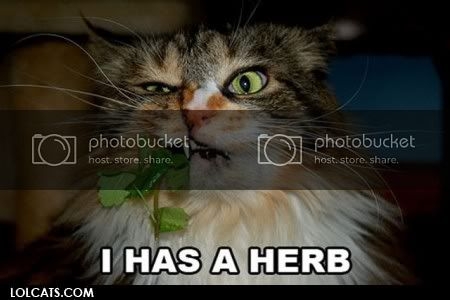 herb.jpg