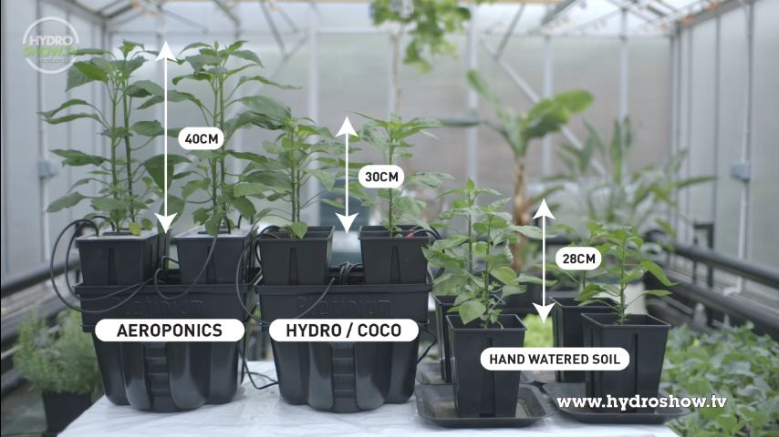 Hydroponics vs Aeroponics vs Soil Growing Systems_2.png