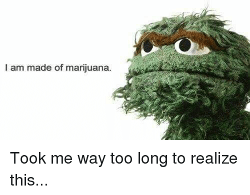 i-am-made-of-marijuana-took-me-way-too-long-32380637.png
