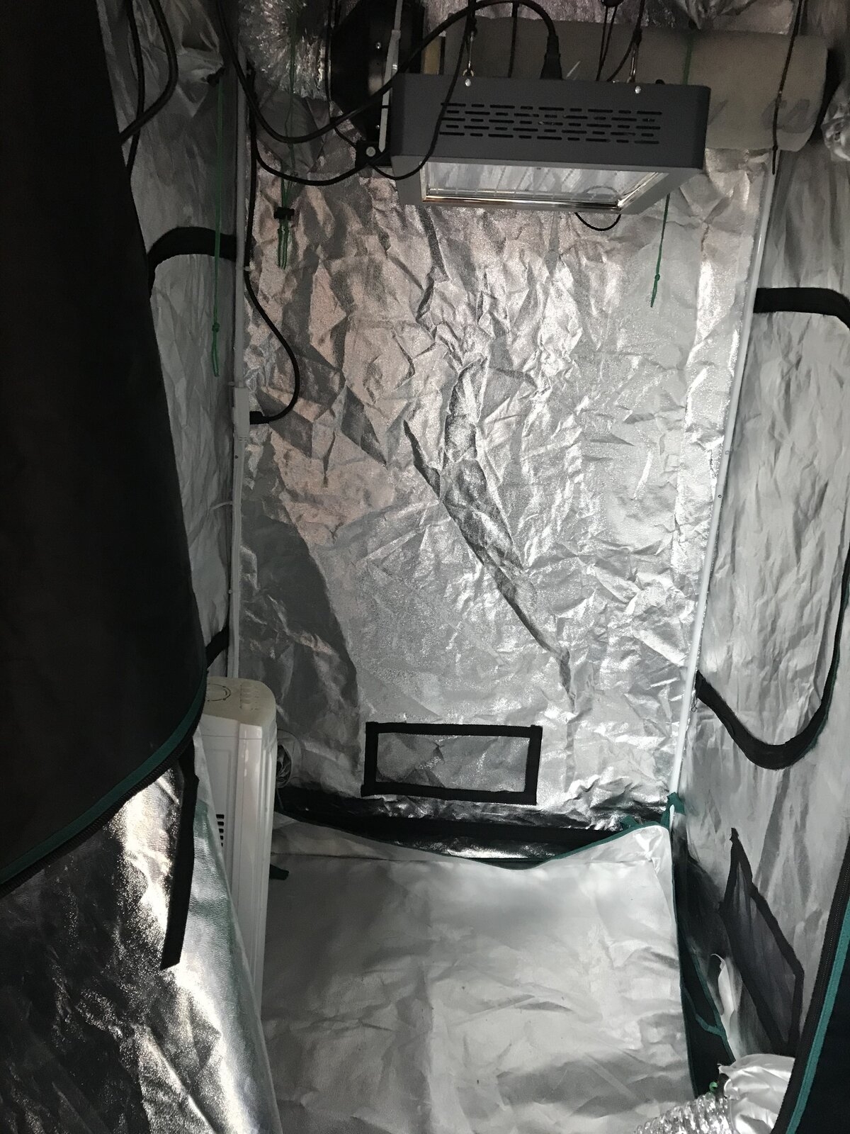 Inside Tent.jpg
