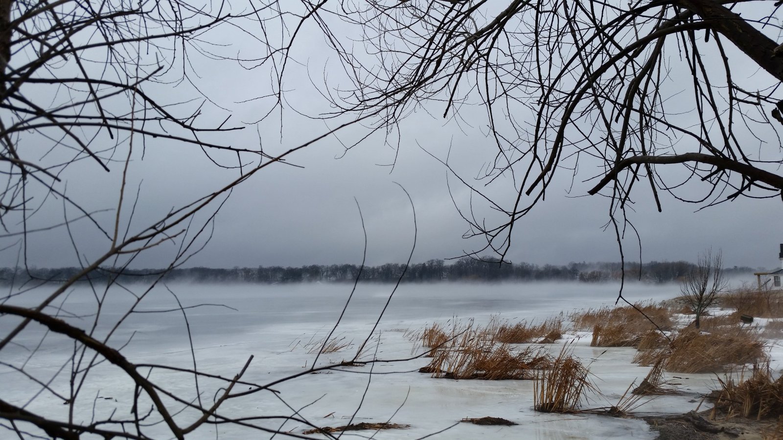 Lake Fog.jpg