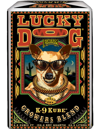 luckydog_2pt2cf_2019-391x500.png
