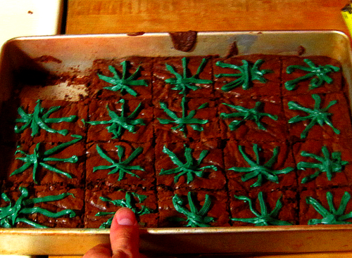 marijuana-brownies.png