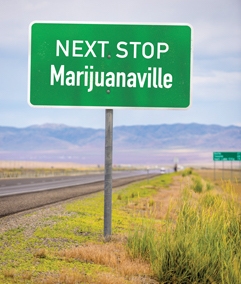 marijuanaville.jpg