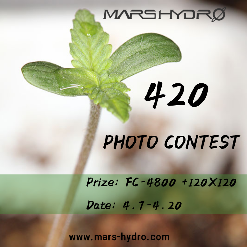 Mars Hydro 420 Photo Contest.jpg.png