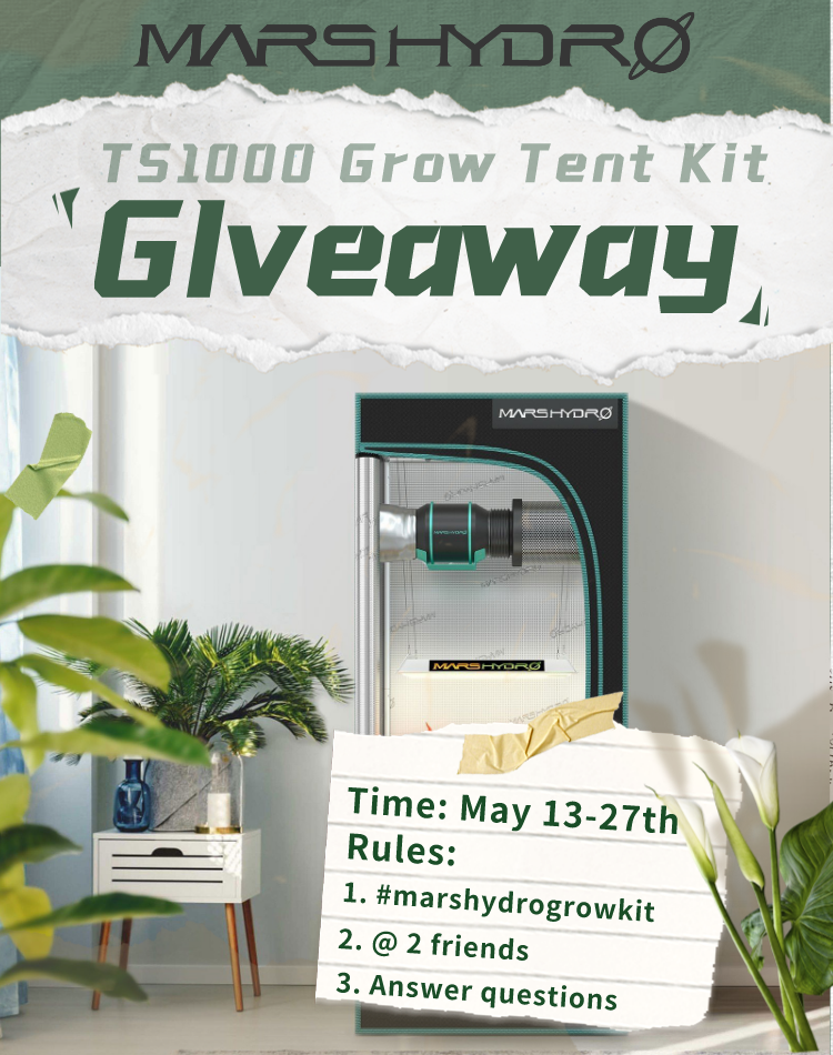 Mars Hydro TS1000 Grow kit Giveaway.png