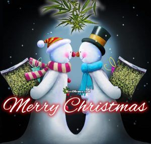 Merry Christmas Snowmen.jpg