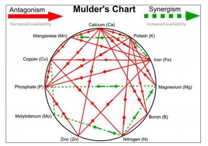 mulders-chart-e1465939603653 (1).jpg