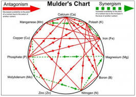 mulders-chart-e1465939603653.jpg