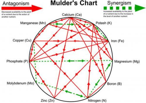 Mulder's Chart.jpg