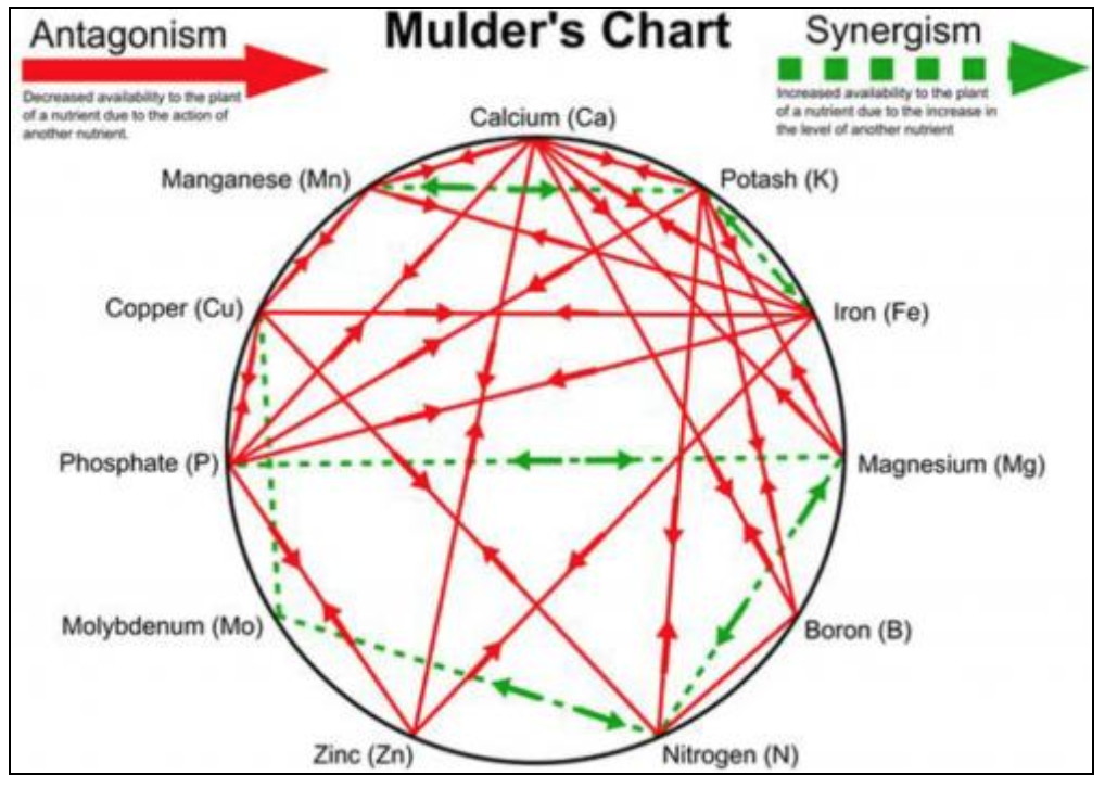 mulders chart.png