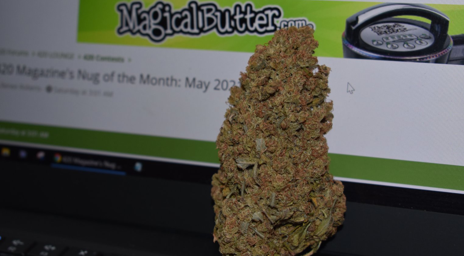 Nug of the Month.png